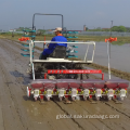 China Paddy field precision hole transplanter Supplier